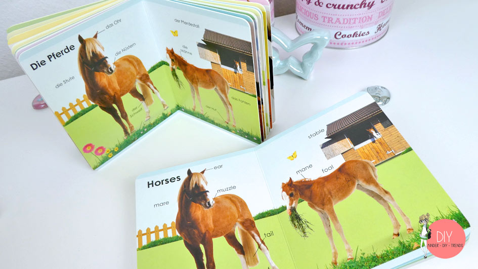 Englisch Wörterbuch für Kleinkinder - Pferden und Bauernhof