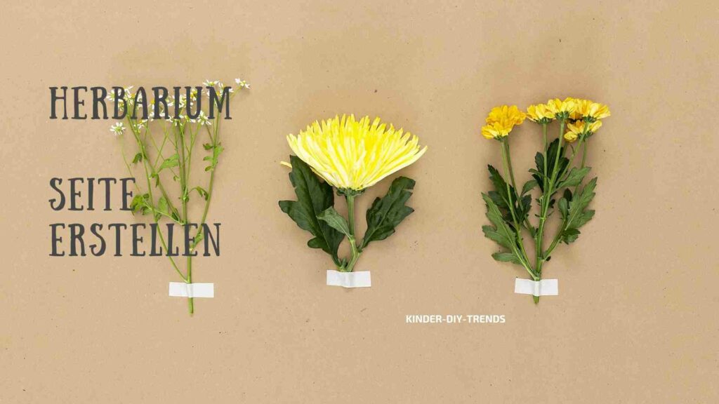 Herbarium gestalten Vorlage & Anleitung | Kinder-DIY-Trends