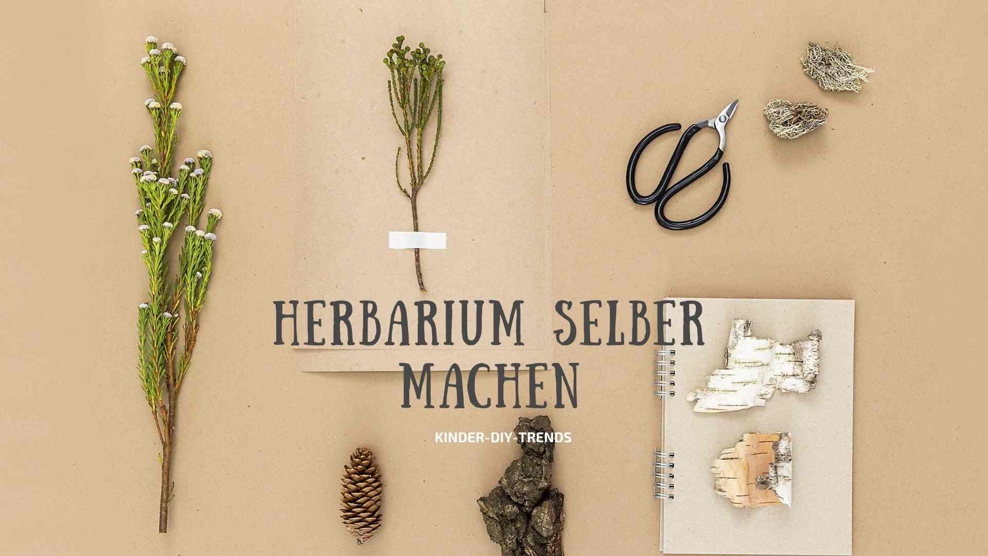 Herbarium selber machen. So legt man ein Herbarium an. Mit Vorlagen und Anleitung.