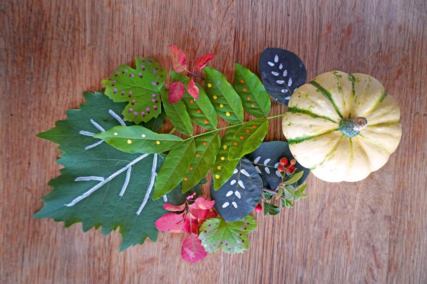 Naturmaterial Mandala aus Kürbis und Blättern mit Muster