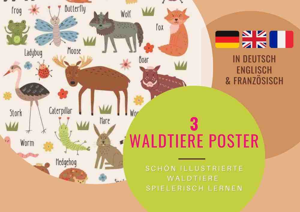 3 Waldtiere Poster in Deutsch Englisch Französisch herunterladen