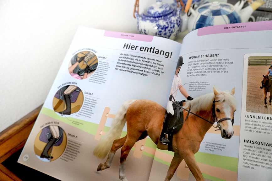 Blick ins Buch Pferde und Ponys, DK Verlag