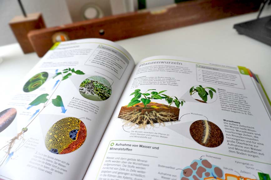 Blick ins Buch Visuelle Biologie Natur