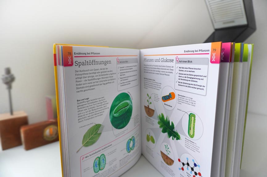Blick ins Buch Visuelle Biologie