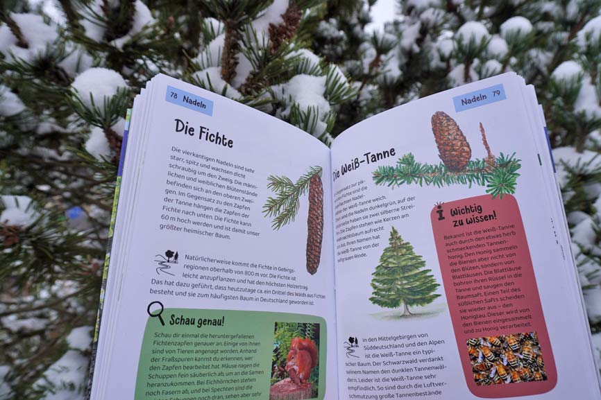 "Welcher Baum ist das?" Blick ins Buch Kinder Natur Führer KOSMOS Verlag