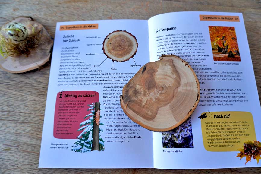 Jahresringe - "Welcher Baum ist das?" Blick ins Buch Kinder Natur Führer KOSMOS Verlag