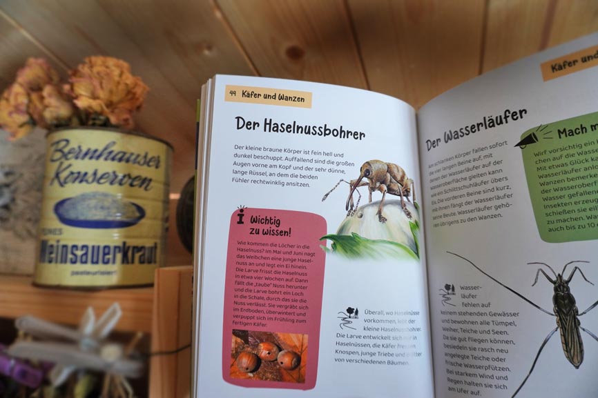 "Was krabbelt denn da?" Blick ins Buch Kinder Natur Führer KOSMOS Verlag
