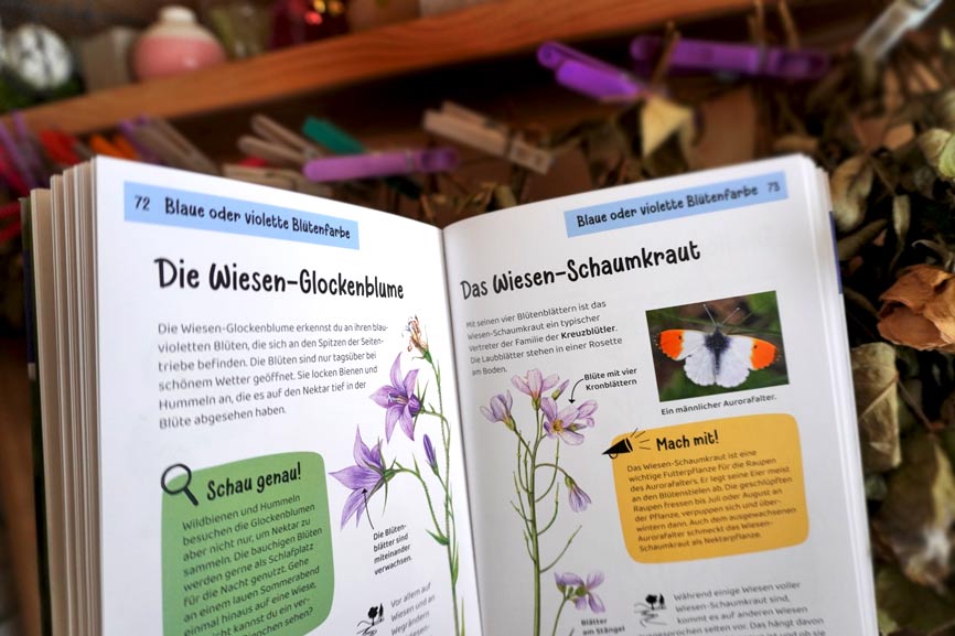 "Was blüht denn da?" Blick ins Buch Kinder Natur Führer KOSMOS Verlag, Wiesenblumen