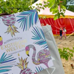 Kinder-DIY-Trends-Ausmalglück-Zirkus Keine Langeweile bei Regen - Ausmalbuch Flamingo