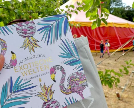 Keine Langeweile bei Regen - Ausmalbuch Flamingo