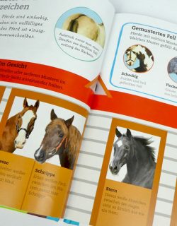 Kinder-DIY-Trends-Buch-Pferde-und-Ponys-Inhalt-Fell Blesse, Stern und Pferd
