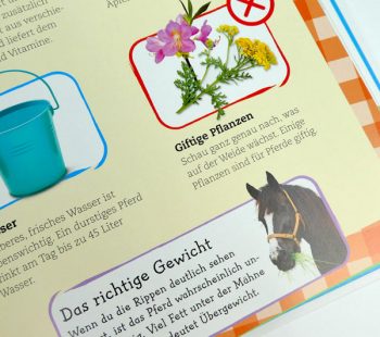 Kinder-DIY-Trends-Buch-Pferde-und-Ponys-Inhalt-Füttern Informationen zur Pferdehaltung und Pflege