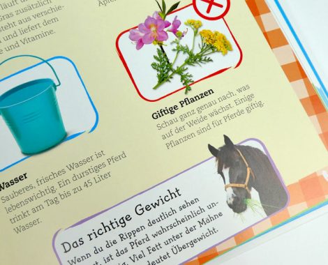 Informationen zur Pferdehaltung und Pflege