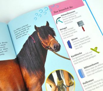 Kinder-DIY-Trends-Buch-Pferde-und-Ponys-Inhalt-Pferd Wie pflege ich ein Pferd?