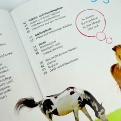 Kinder-DIY-Trends-Buch-Pferde-und-Ponys-Inhaltsverzeichnis Pferde und Ponys, Dorling Kindersley