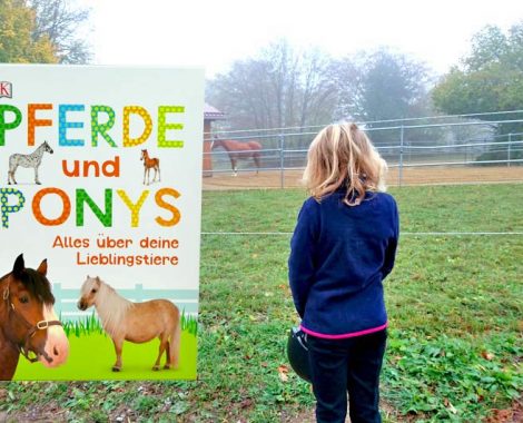 Bilderbuch mit Lexikon