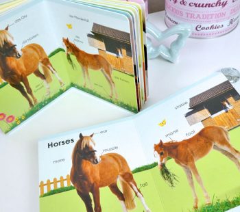 Kinder-DIY-Trends-Dorling-Kindersley-Englischbücher-Englisch-lernen-mit-Kinderbüchern-Pferde Englisch Wörterbuch für Kleinkinder - Pferden und Bauernhof