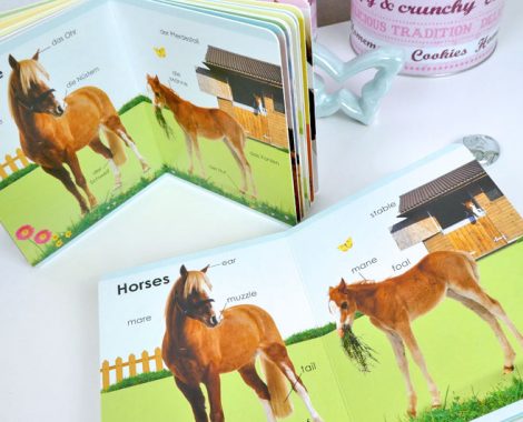 Englisch Wörterbuch für Kleinkinder - Pferden und Bauernhof