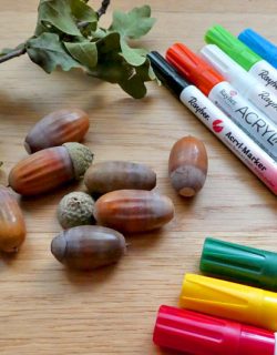 Kinder-DIY-Trends-Eicheln-Fuchs-Material Acrylmarker, Eicheln und fertig