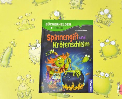 Spinnengift und Krötenschleim Kinderbuch für Leseanfänger