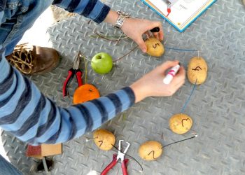 Kinder-DIY-Trends-Meine-Elektronik-Werkstatt-Kartoffelexperiment Buch und Experimente im MINT Bereich