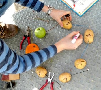 Kinder-DIY-Trends-Meine-Elektronik-Werkstatt-Kartoffelexperiment Buch und Experimente im MINT Bereich