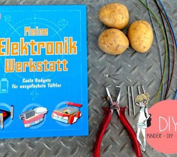 Kinder-DIY-Trends-Meine-Elektronik-Werkstatt-Material Experimente Buch
