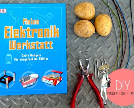 Experimente Buch