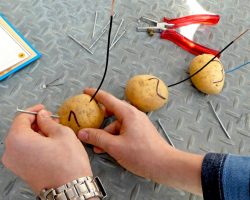 Kinder-DIY-Trends-Meine-Elektronik-Werkstatt-Nagel Batterie aus Kartoffeln bauen