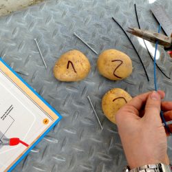 Kinder-DIY-Trends-Meine-Elektronik-Werkstatt-abisolieren Kartoffel Batterie bauen