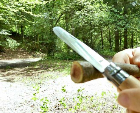 Kinder können schnitzen mit einem abgerundeten Opinel Messer