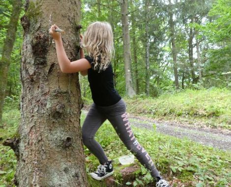 Kinder-DIY-Trends-Outdoor-DIY-Holzfackel-schnitzen-mit-Opinelmesser-Baum-mit-Harz