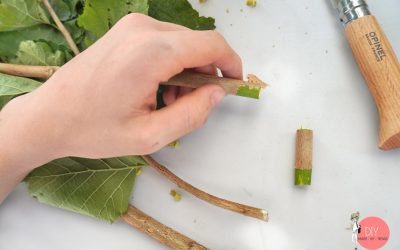 Haselnuss Stecken absägen und Rinde abmachen - schnitzen mit Kindern