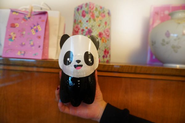Panda aus PET Flasche basteln - Upcycling Bastelidee