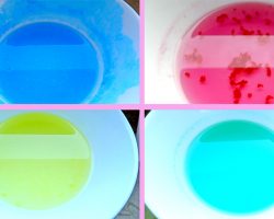 Kinder-DIY-Trends-Regenbogen-Salzkristalle-Anfang Anleitung Kristalle züchten