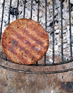 Kinder-DIY-Trends-Schland-Burger-braten Patty auf den Grill legen und grillen