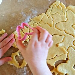 Kinder-DIY-Trends-Schmetterlinge-backen-ausstechen Rezept und Anleitung