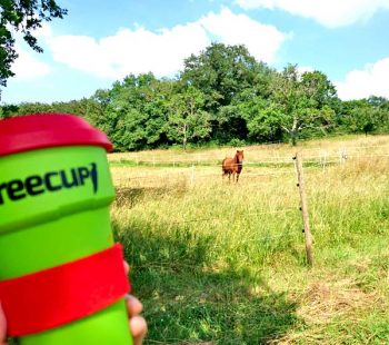 Kinder-DIY-Trends-treecup-Familienausflug-Pferd Picknick Ausflug mit Kindern und Bambus Becher to-go