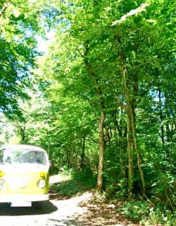 Kinder-DIY-Trends-treecup-Familienausflug Familienausflug mit dem VW T2 Bulli