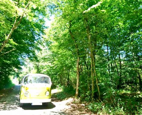 Familienausflug mit dem VW T2 Bulli