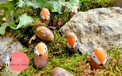 cropped-Kinder-DIY-Trends-Eicheln-Fuchs-Herbstdeko.jpg